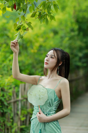 斛珠夫人在线