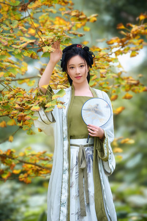 不戴乳罩的家庭教师