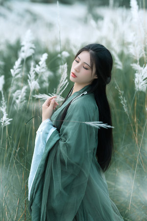 灯草花尚灯2完整版